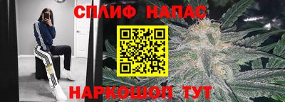стаф Жуковский