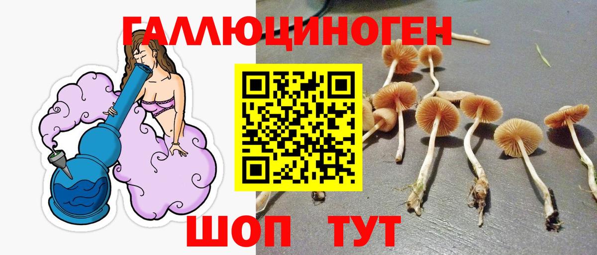 Псилоцибиновые грибы мицелий Ленинск-Кузнецкий